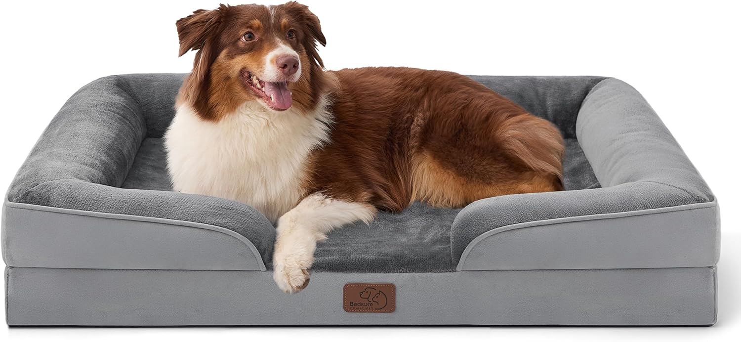 The Best Orthopedic Dog Beds (2026)