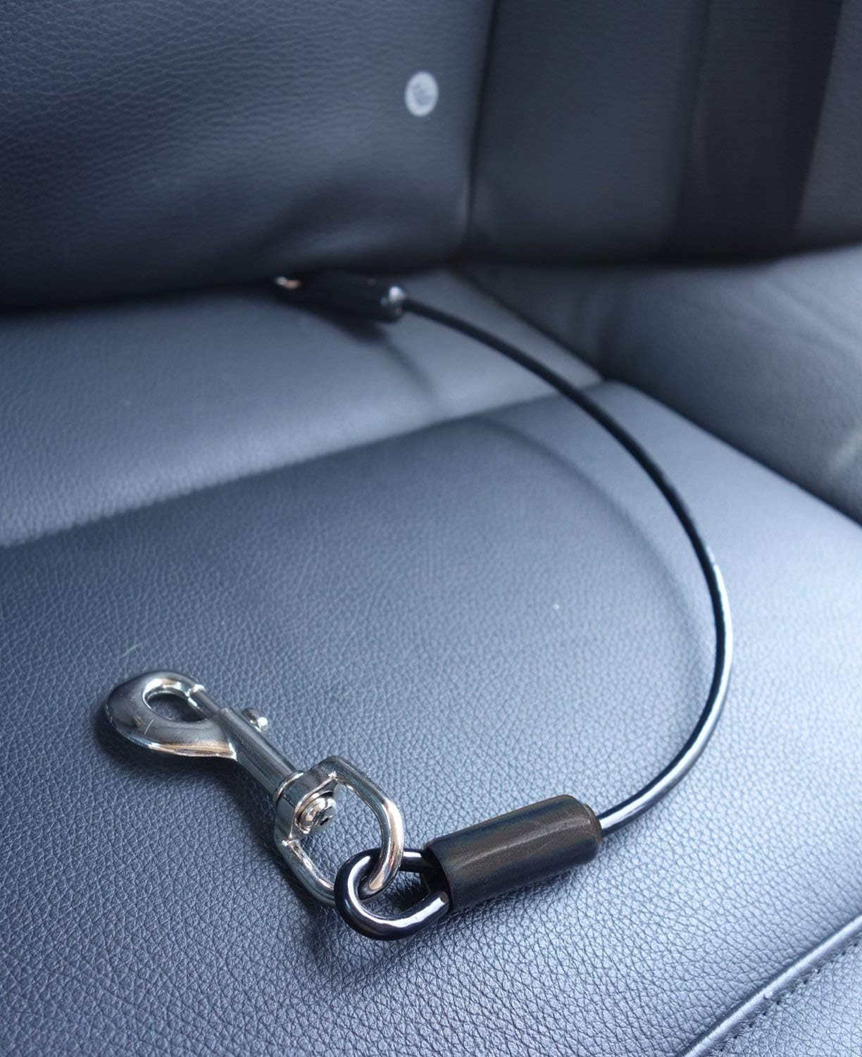 The Best Dog Seat Belts and Car Restraints (2026)