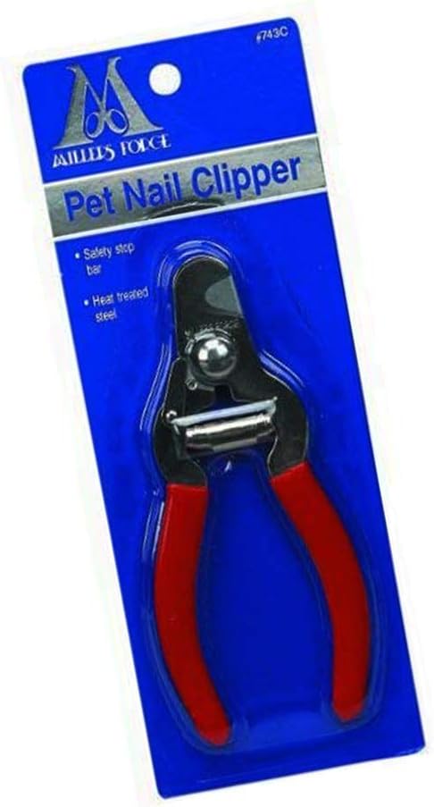 How To Trim Dog Nails Without Hitting the Quick