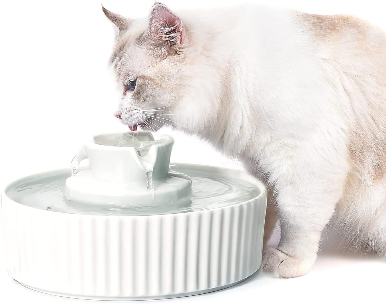 NautyPaws Ceramic Cat Water Fountain