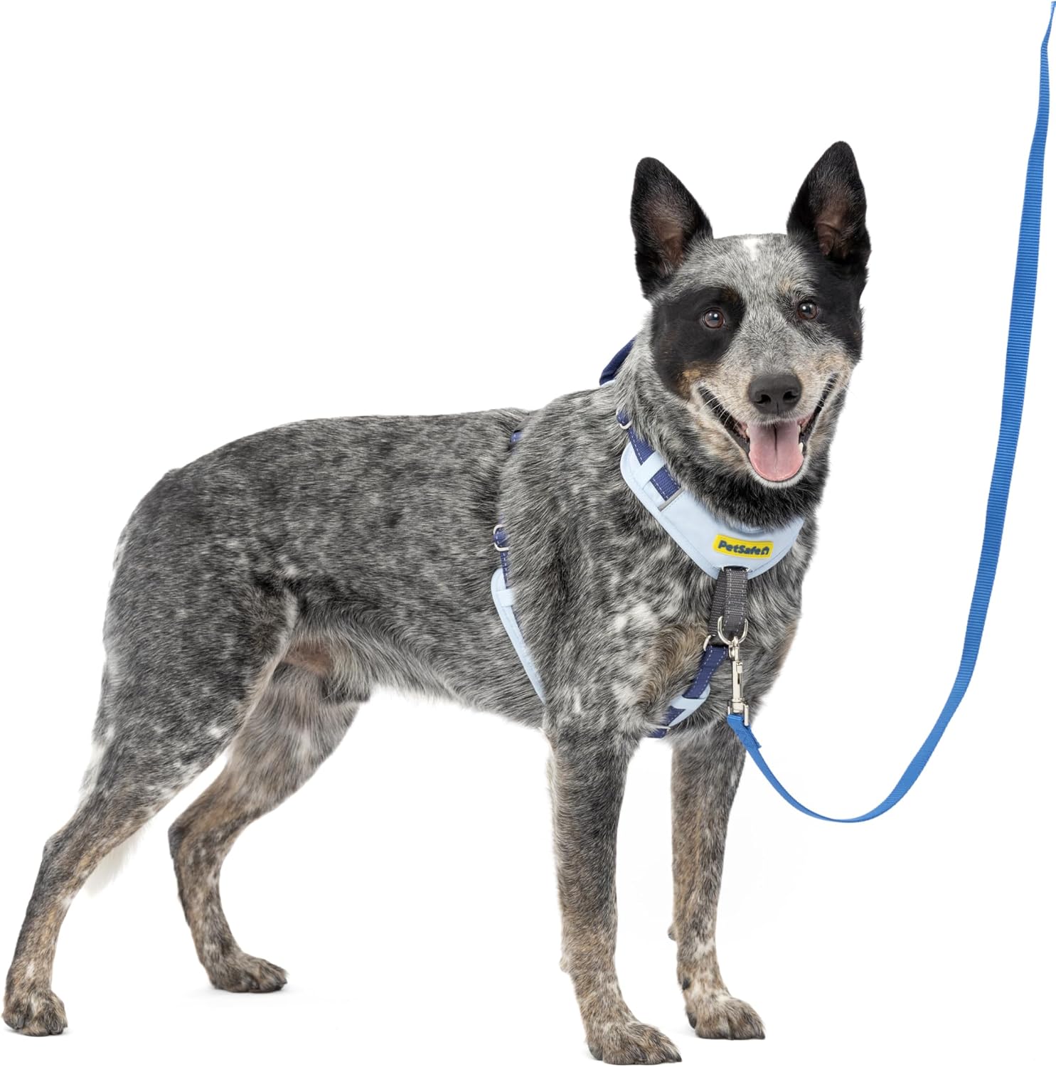 PetSafe Easy Walk Comfort No-Pull Harness