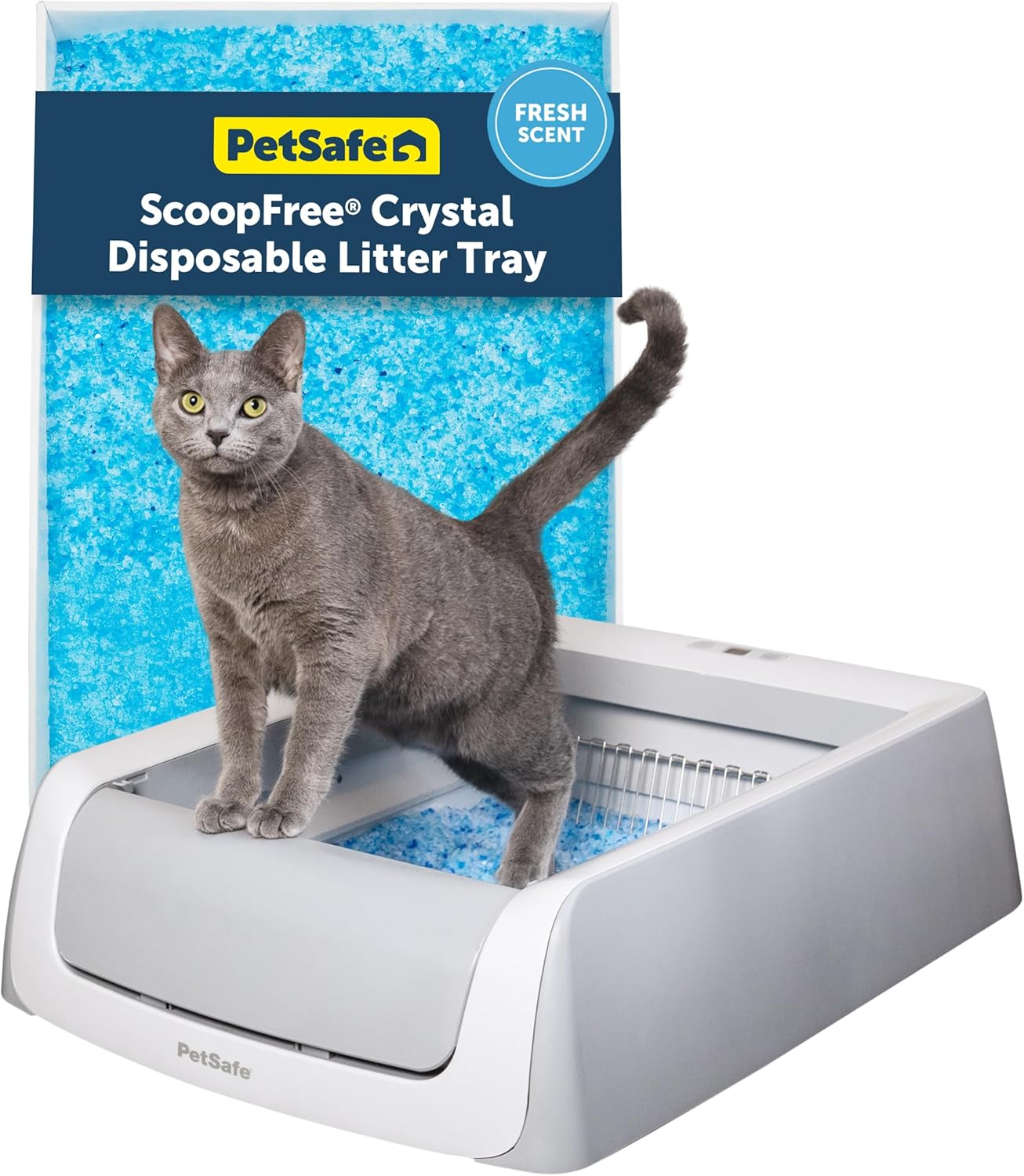 Self Cleaning Litter Box Running Costs (2026): The Three-Year Sum