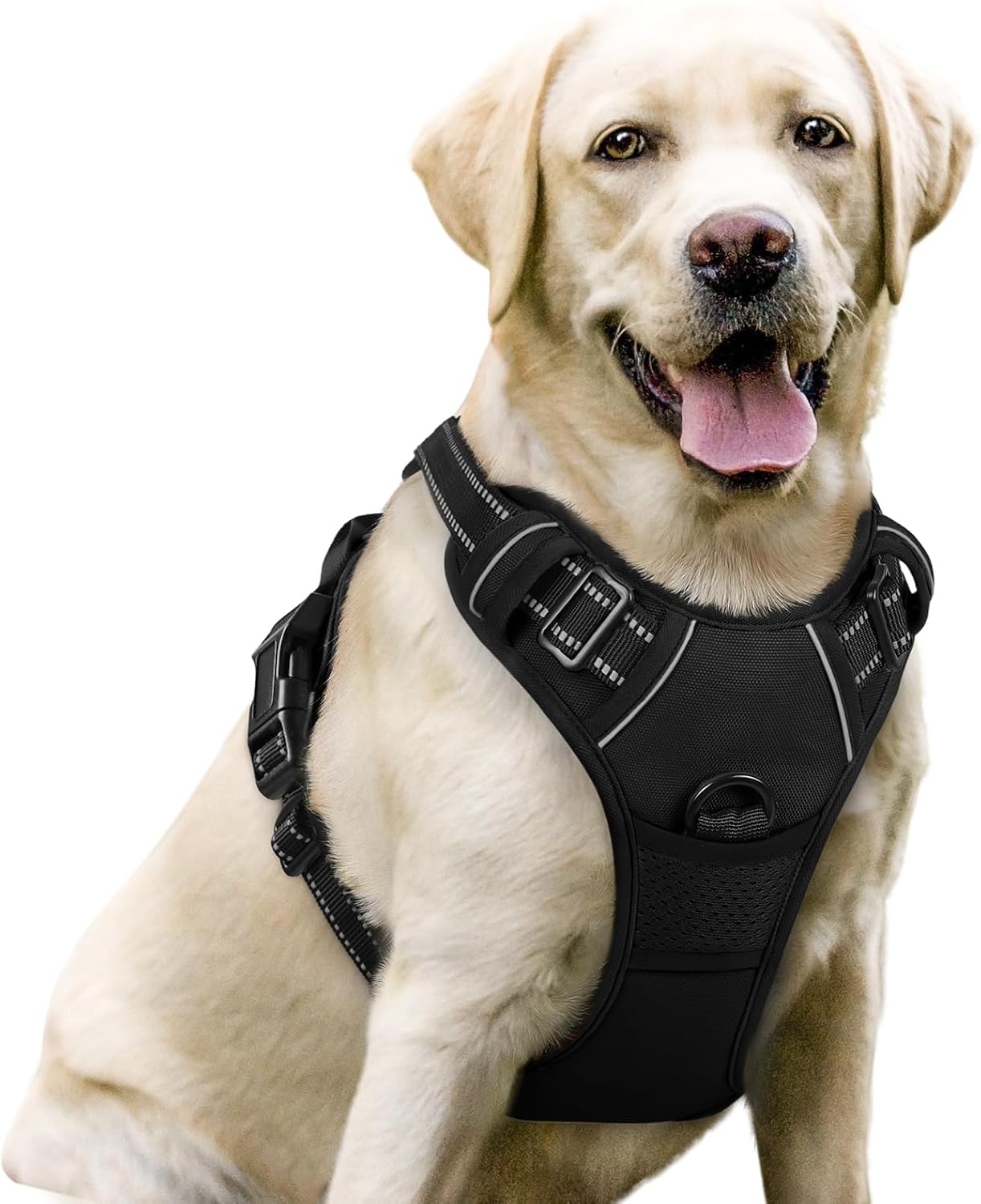 The Best No Pull Dog Harnesses (2026)