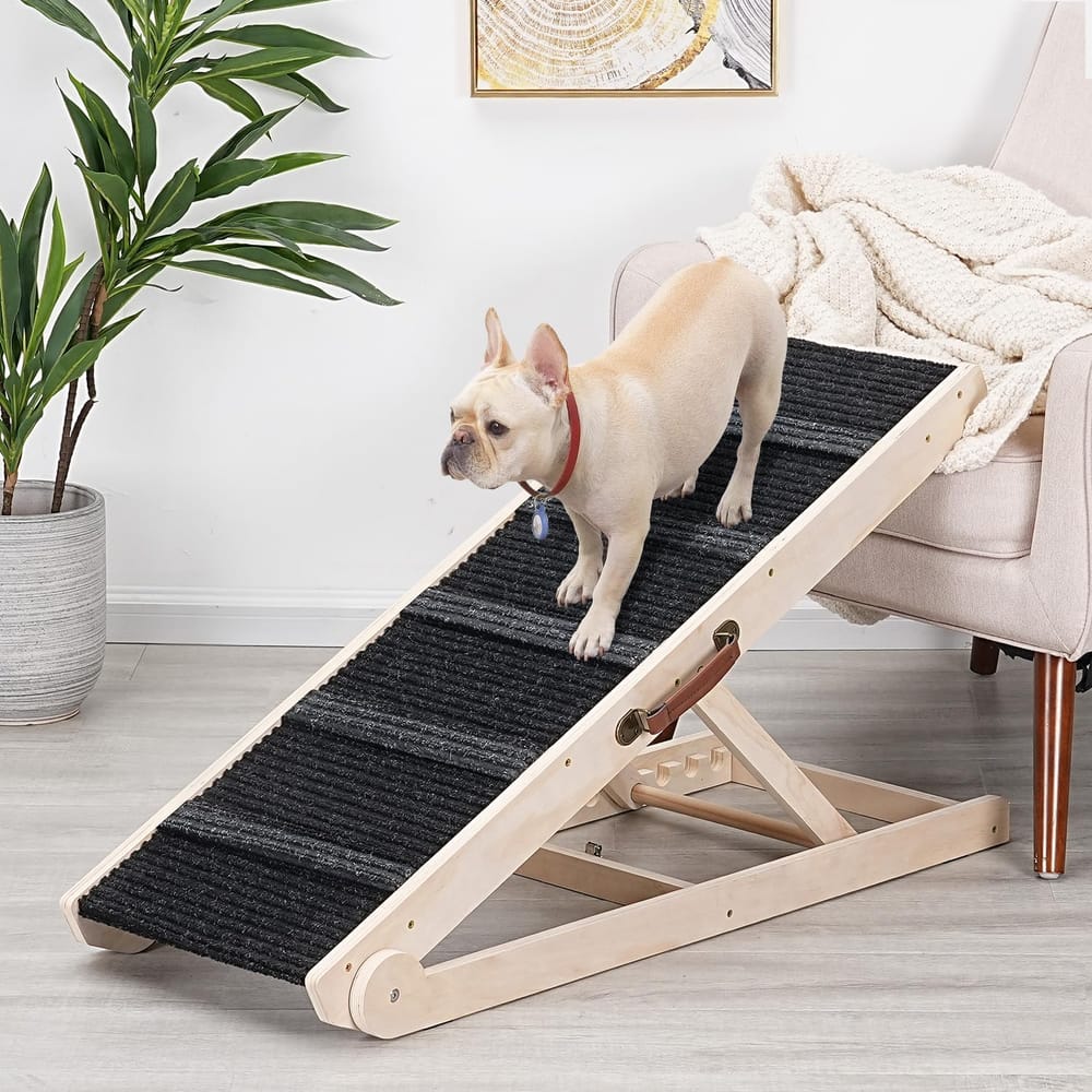 Dog Ramp vs Stairs (2026): Which Does Your Dog Need?